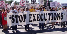 Stop the Execution