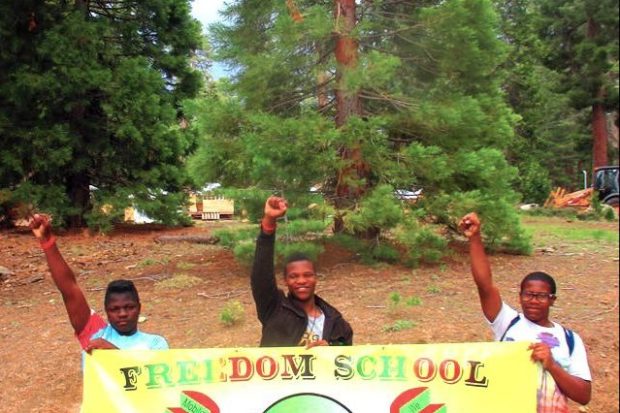 Freedom School Scrapbook