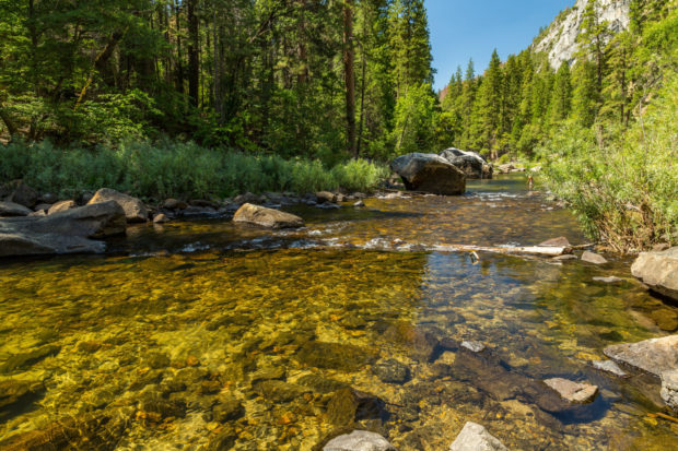 Nunes Calls for San Joaquin River Salmon to Go Extinct