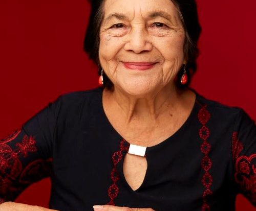 The Dolores Huerta Foundation