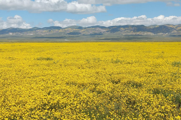 Preservation of Central Coast Landscapes