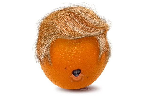 The Orange President Cometh and Hope for the Convivial Life | Part 1