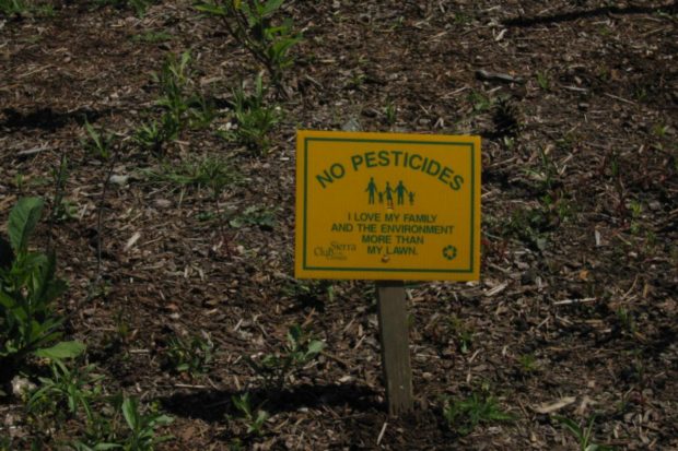 Good News from the Pesticide Front