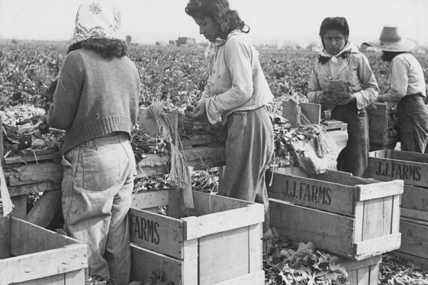 Farmworkers Work Hard: How Do They Age?