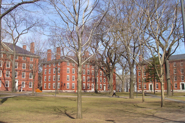 General view of Harvard Yard, Harvard University, Cambridge, Mass. The president of Harvard, Dr. Claudine Gay, resigned under pressure from the right wing and Congressional Republicans. Photo courtesy of The Commons