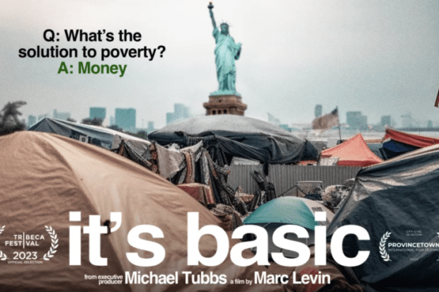 Basic Income