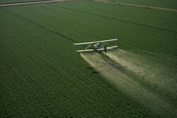 Pesticide Reform Movement