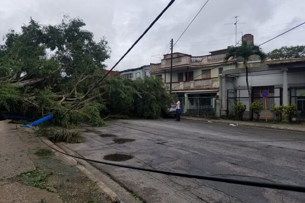 Fallen trees and power poles could be seen all over Havana after Hurricane Rafael hit the island on Nov. 6. Photo by Leni Villagomez Reeves