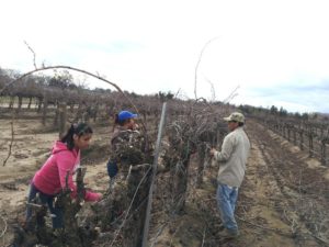 How will we honor farmworkers this year during National Farmworker Awareness Week (March 24–31)?