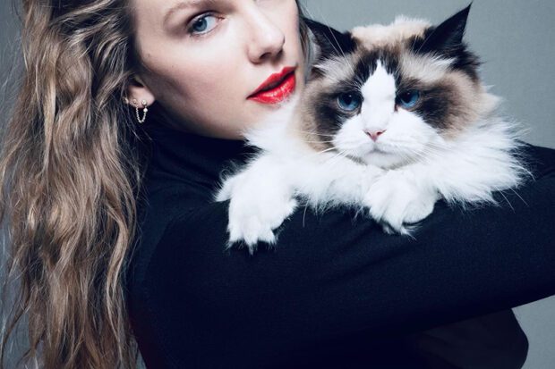 Superstar Taylor Swift, who, in a rebuff to Trump’s running mate JD Vance, posted her endorsement of Kamala Harris on Instagram hugging a cat. Photo courtesy of Taylor Swift Instagram page, @taylorswift