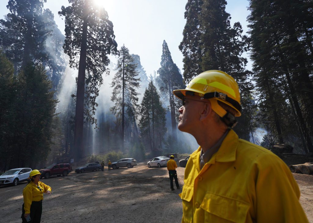 Climate Change, Wildfires and the Future of Giant Sequoias - Community ...
