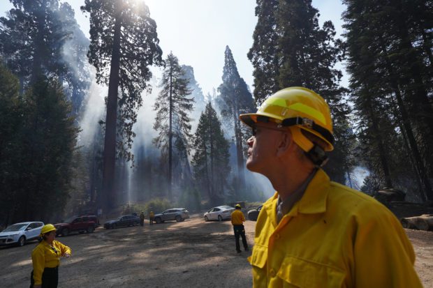 Climate Change, Wildfires and the Future of Giant Sequoias