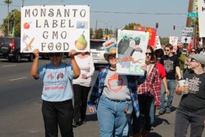 This march (photo on left) down Blackstone Avenue against GMOs and Monsanto took place on Oct. 12.