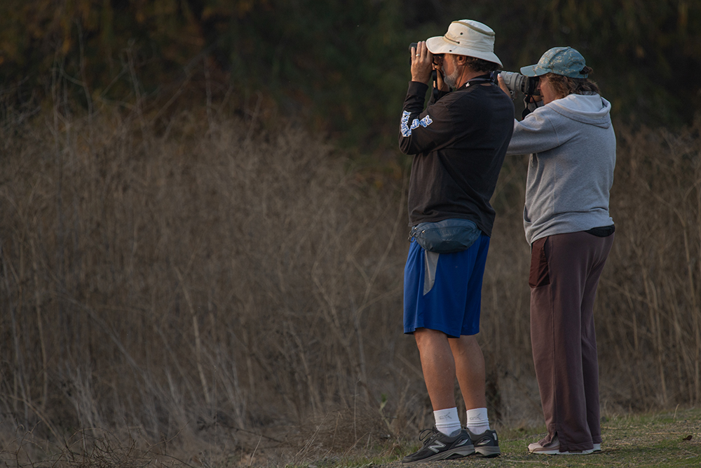 A couple watch and photograph birds at the Merced National Wildlife Refuge at dusk on Dec. 7. Photo by Peter Maiden