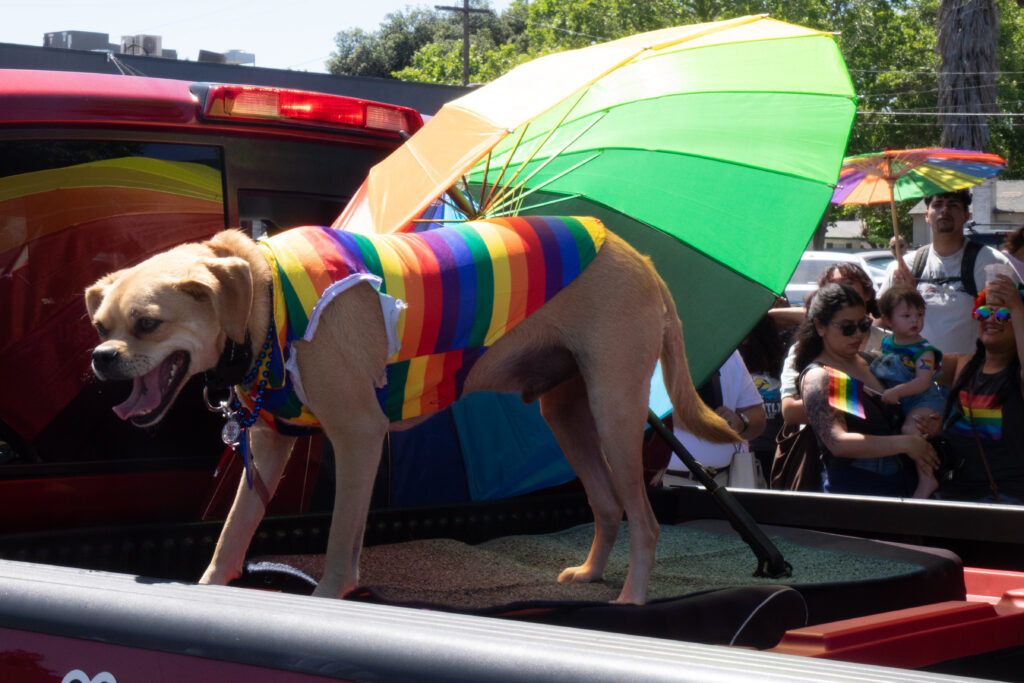 Rainbow Pride Parade in Fresno.  June 1, 2024.  Photo by Eduardo Stanley.
