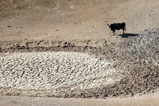 Pesar De Las Lluvias, La Sequía En California Sigue Amenazante