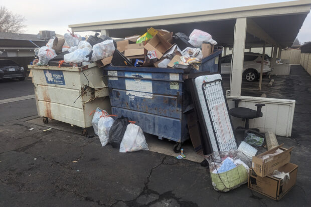 With waste collection being ignored more weeks than it is being collected, scenes like this have become typical at the once-vibrant Meadowbrook community. Photo by Joshua Shurley