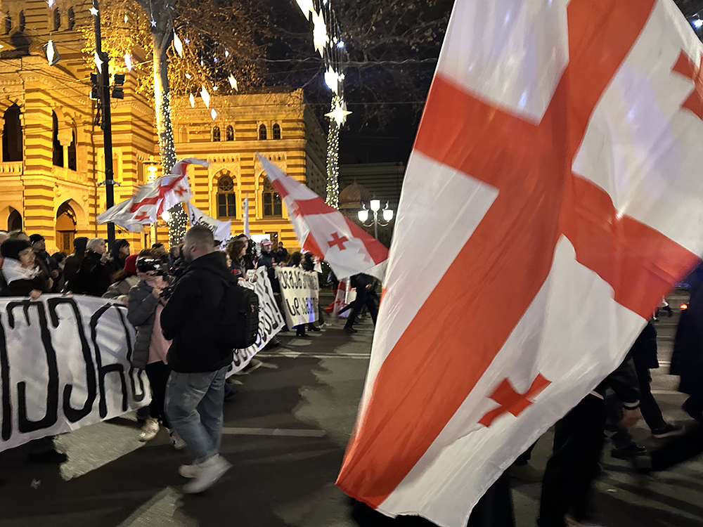 A march on Shota Rustaveli street in front of the Tbilisi State Opera and Ballet Theater. Photo by Zarina Zabrisky