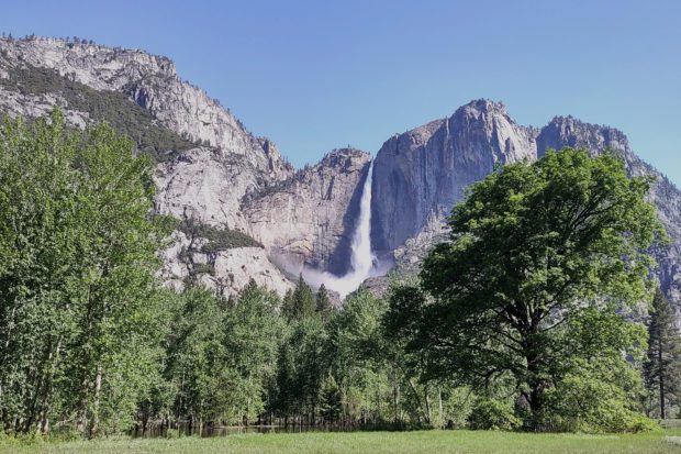 In Yosemite Valley, Snow Melt Flows and Falls